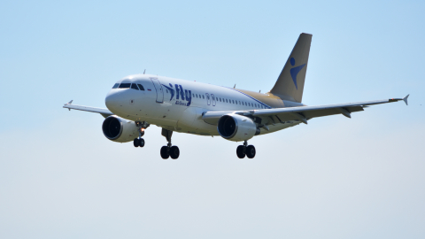 Airbus A319 аэропорт Внуково