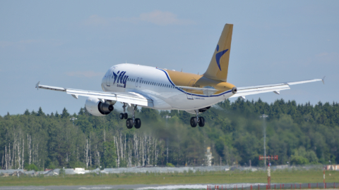 Airbus A319 аэропорт Внуково