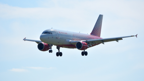 Airbus A319 аэропорт Внуково