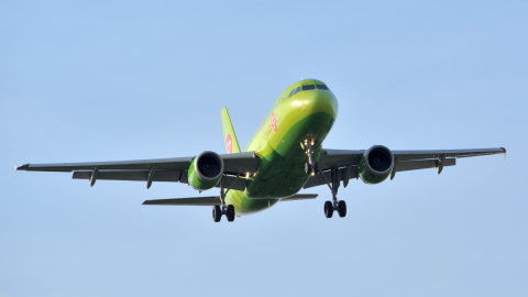 Airbus A319 аэропорт Домодедово