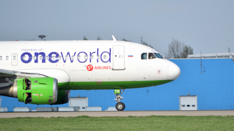 Airbus A319 аэропорт Домодедово