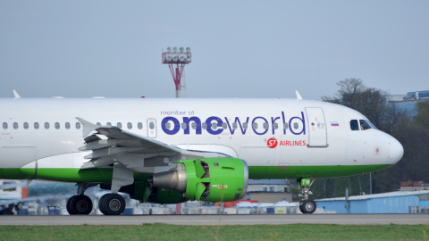 Airbus A319 аэропорт Домодедово