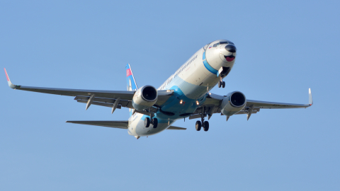 Boeing 737 аэропорт Домодедово