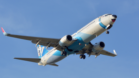 Boeing 737 аэропорт Домодедово