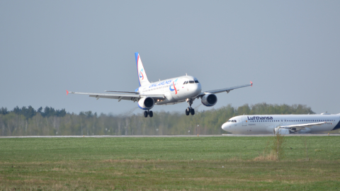 Airbus A319 аэропорт Домодедово