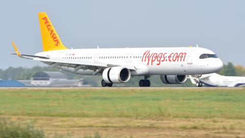 Airbus A321 аэропорт Домодедово