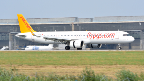 Airbus A321 аэропорт Домодедово